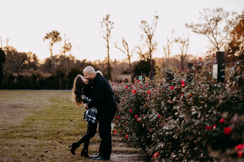 Couple kissing next to ruse bushes during sunset